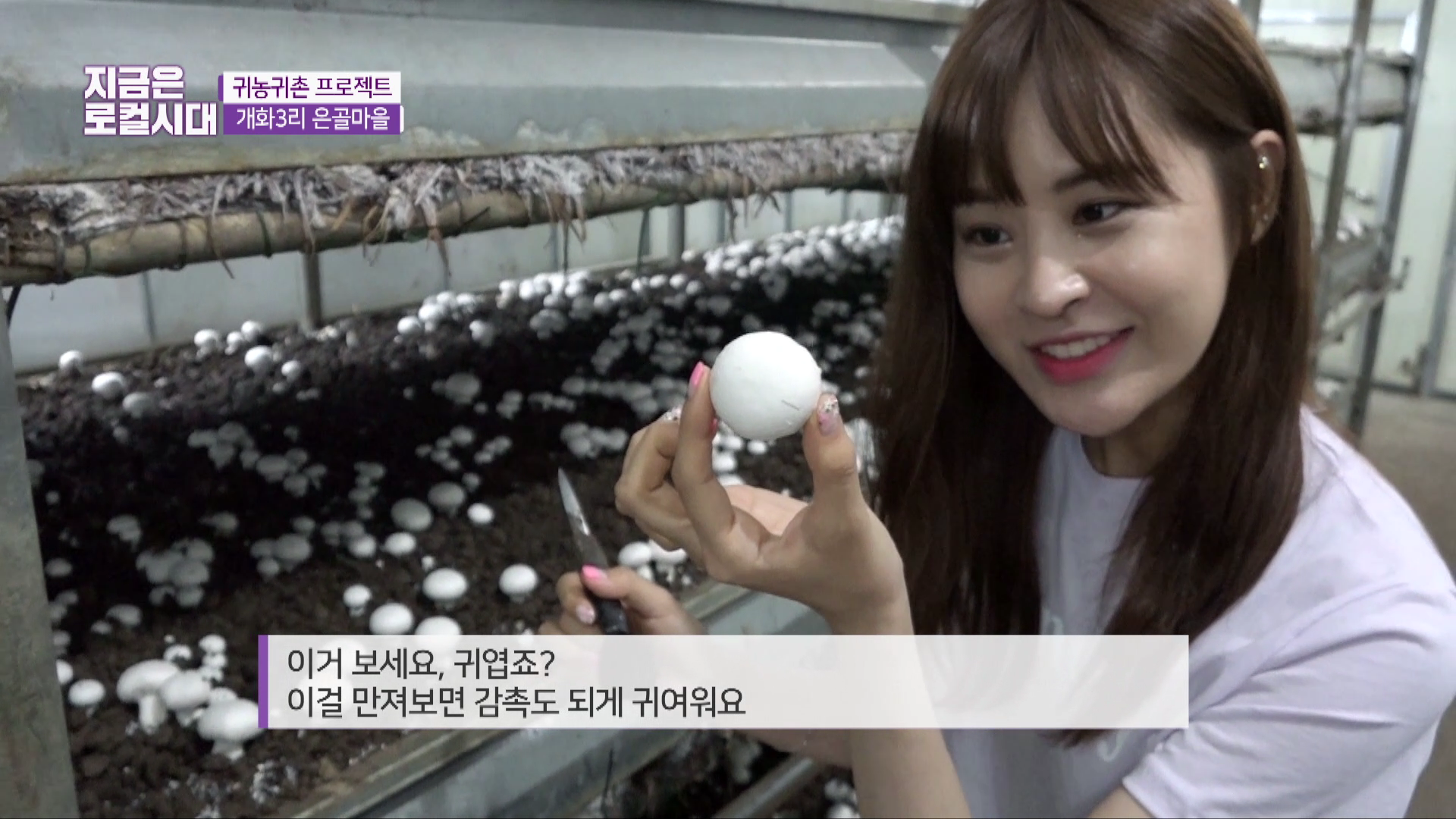 [귀농귀촌 프로젝트] 4회 성주면 개화3리 은골마을